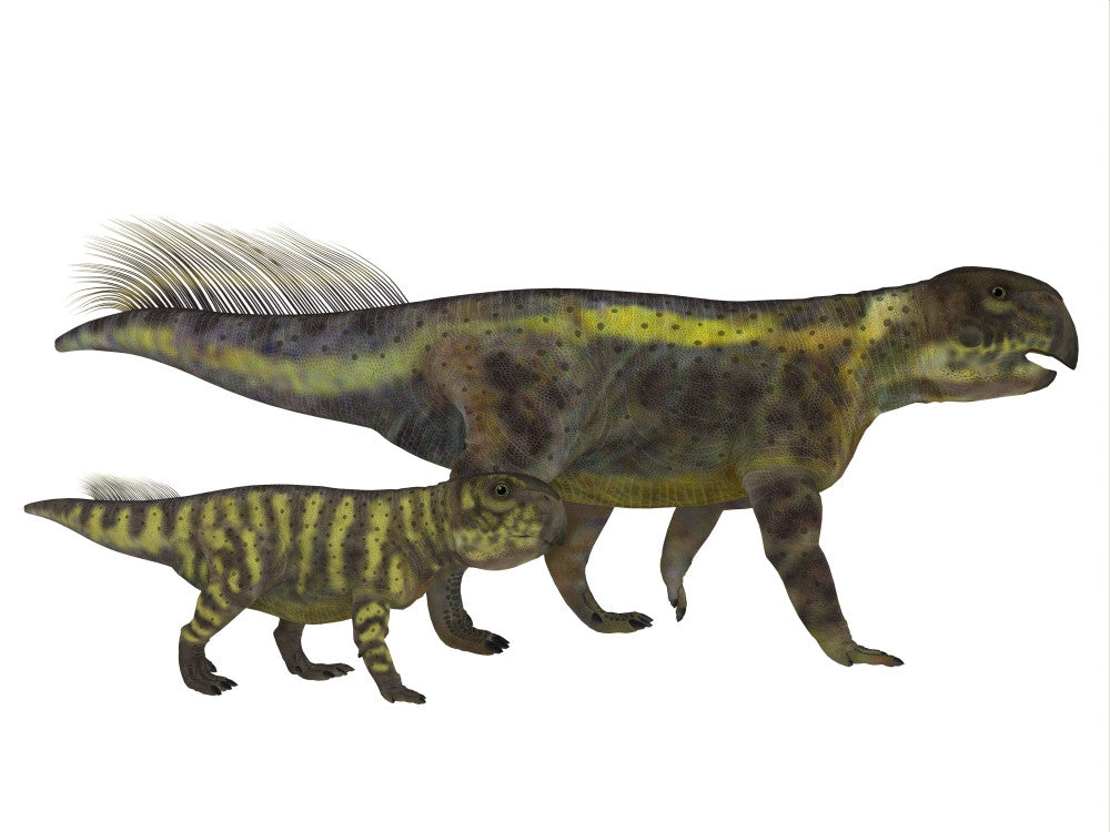 Adult Psittacosaurus Dinosaur with Offspring Fine Art Print by Corey Ford