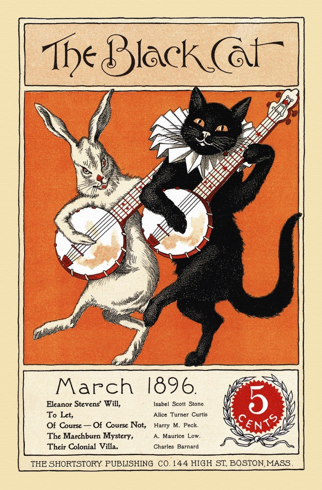 A Cat and Rabbit Playing Banjos Fine Art Print