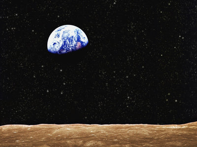 World Art