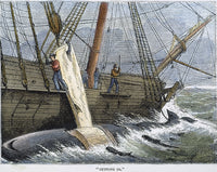 Stripping Whale Blubber Engraving Print (1874) | Posterazzi
