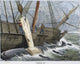 Stripping Whale Blubber Engraving Print (1874) | Posterazzi