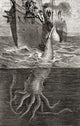 A Giant Squid Fine Art Print by Ken Welsh | Architeuthis Architeuthidae