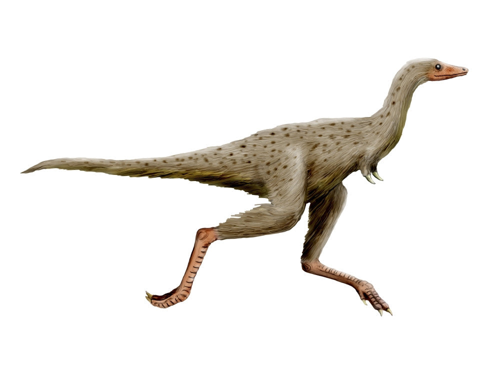 Linhenykus Dinosaur Poster Print - Fine Art by StockTrek Images