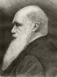 Charles Darwin Fine Art Print - Nuestro Siglo 1883