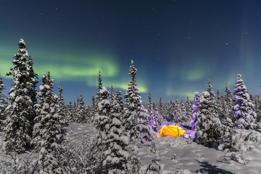 Aurora Borealis Winter Night Fine Art Print by Kevin G. Smith