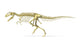 Giganotosaurus Dinosaur Skeleton 3D Rendering Poster Print