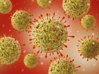 Microscopic View of Herpes Virus Fine Art Print