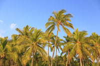 Hulupo'e Bay Fine Art Print by Stuart Westmorland - Hawaii