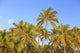 Hulupo'e Bay Fine Art Print by Stuart Westmorland - Hawaii