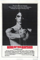 King of the Gypsies Movie Poster Print (27x40) | Posterazzi