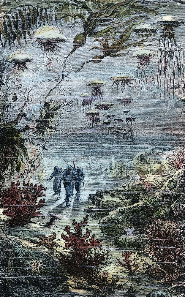 A Walk Under The Waters Fine Art Print - Captain Nemo's Ocean Adventure