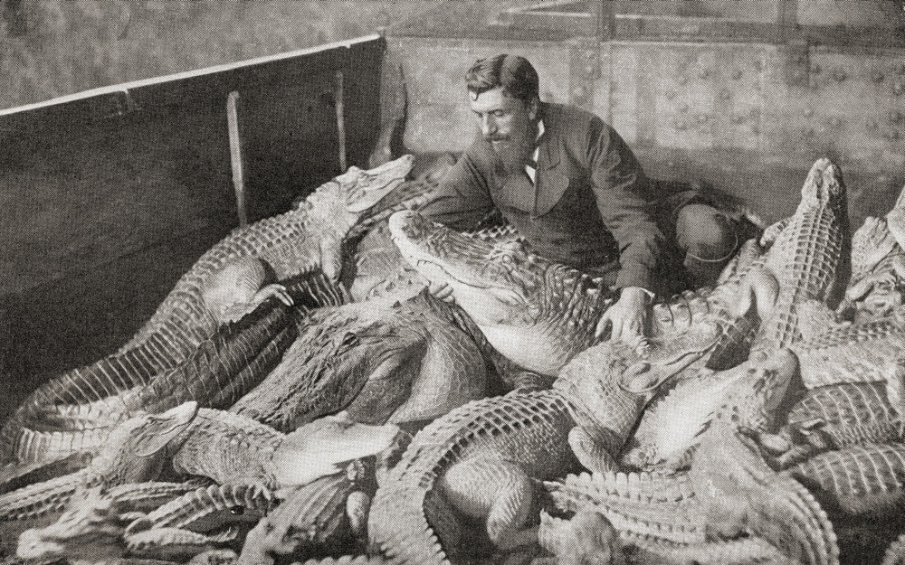 Crocodiles with Their Trainer - 19th Century Fine Art Print