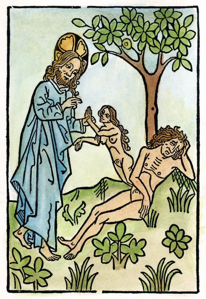 Adam and Eve: God Creating Eve from Adam's Rib - 15th Century Woodcut Poster Print