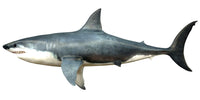 Megalodon Shark from the Cenozoic Era Fine Art Print