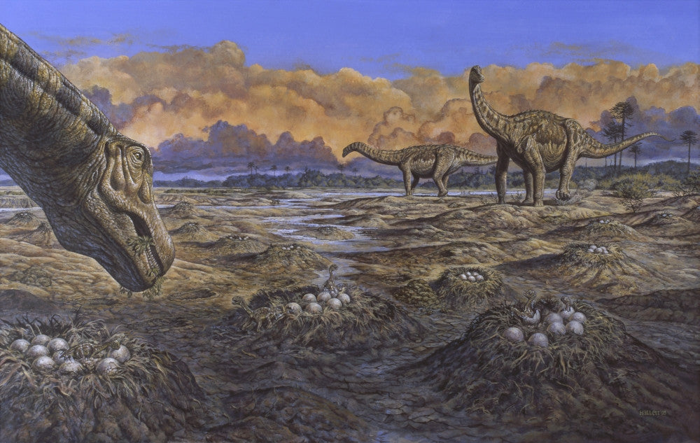 Titanosaur Nesting Site Fine Art Print - Mid-Cretaceous Period