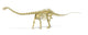 3D Rendering of Diplodocus Dinosaur Skeleton Fine Art Print
