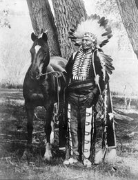 Ute Chief Ignacio with His Horse Fine Art Print by Frank Balster