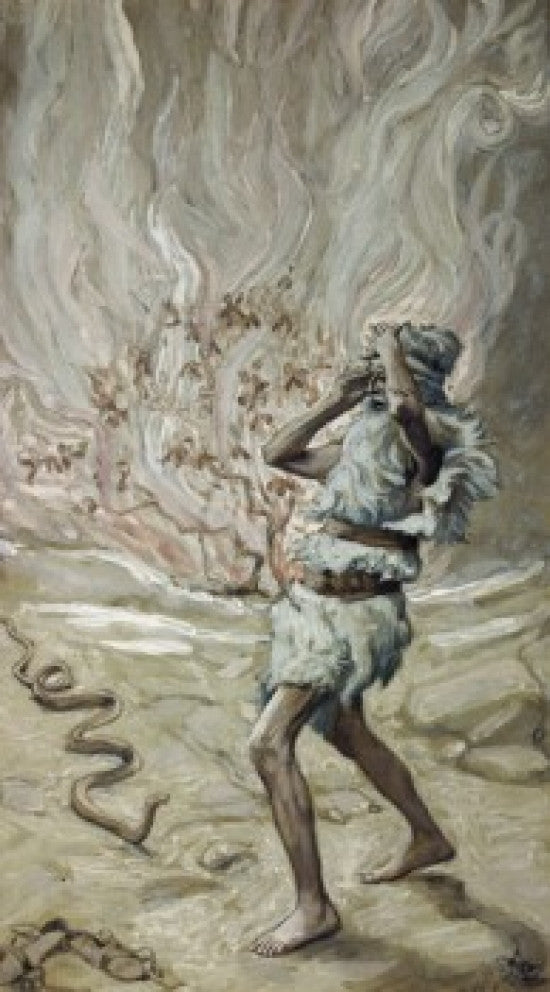 Moses' Rod is Turned into a Serpent Fine Art Print by James J. Tissot