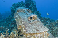 Sunken Moai Fine Art Print from Easter Island, Chile