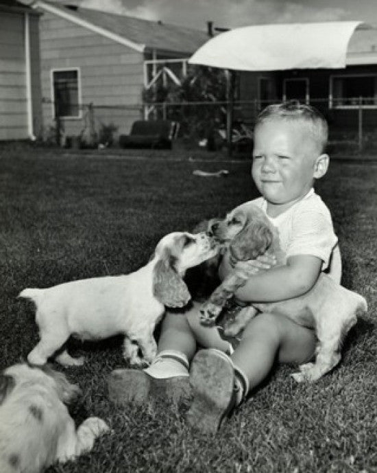 Boy Playing with Three Puppies Fine Art Print