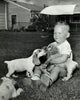 Boy Playing with Three Puppies Fine Art Print