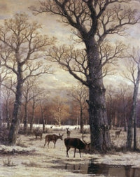 Deer Foraging in Winter 19th Century Fine Art Print - Item # VARSAL900132351