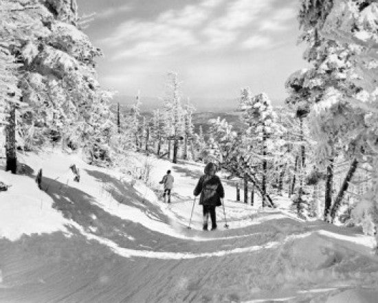 USA Vermont Killington Cross-Country Skiing Poster Print