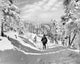 USA Vermont Killington Cross-Country Skiing Poster Print