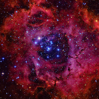 The Rosette Nebula Fine Art Print by Roberto Colombari