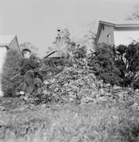 Boy Raking Dead Leaves in Garden Fine Art Print