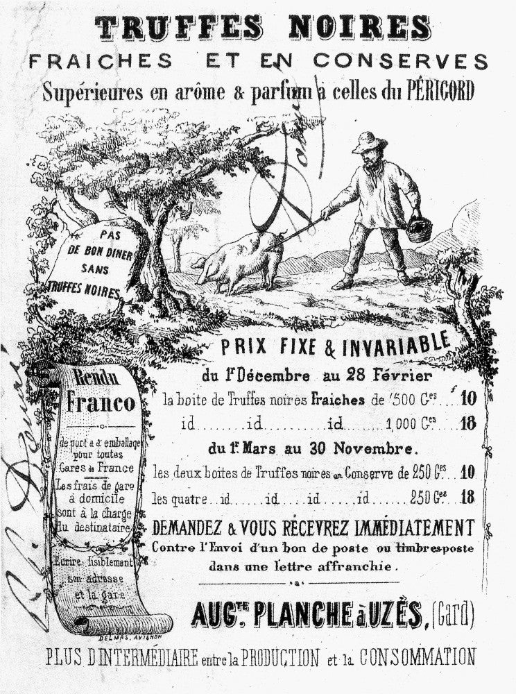19th Century French Trade Card for Black Truffles Art Print by Granger Collection
