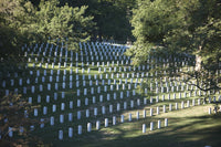 Arlington National Cemetery Fine Art Print | Posterazzi