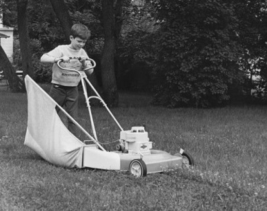 Boy Mowing a Lawn with a Lawn Mower Fine Art Print