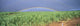 Double Rainbow Over Sugarcane Field Fine Art Print - Maui, Hawaii