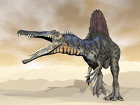 Spinosaurus Roaring in the Desert Fine Art Print