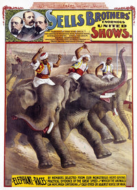 Sells Brothers Circus Elephant Races Poster Print (C1890)