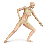 Female Body in Dynamic Posture with Lymphatic System Art Print by Leonello Calvetti
