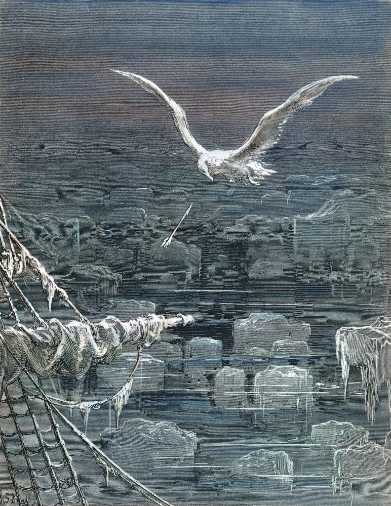 The Mariner Shoots The Albatross Fine Art Print - Coleridge's Ancient Mariner