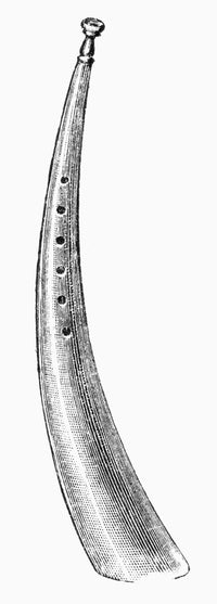 Cornett Fine Art Print - 19th Century Line Engraving by Granger Collection
