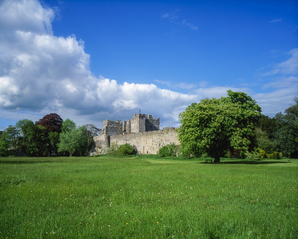 Cahir Castle Fine Art Print - Co Tipperary, Ireland by The Irish Image Collection