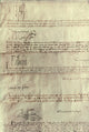 Tudor Monarchs Fine Art Print - Signatures of Henry VII to Elizabeth I