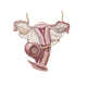 Female Reproductive Organs Fine Art Print by TriFocal Communications