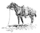 Russell: Rawlins' Horse Fine Art Print by Charles M. Russell