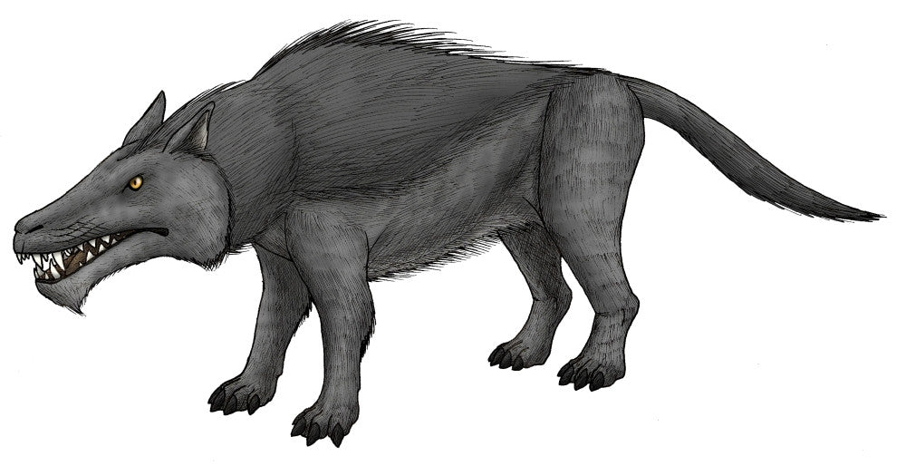 Andrewsarchus Eocene Epoch Fine Art Print - Unique Wall Décor