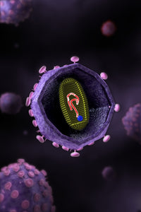 Microscopic View of HIV Virus Cross Section Fine Art Print