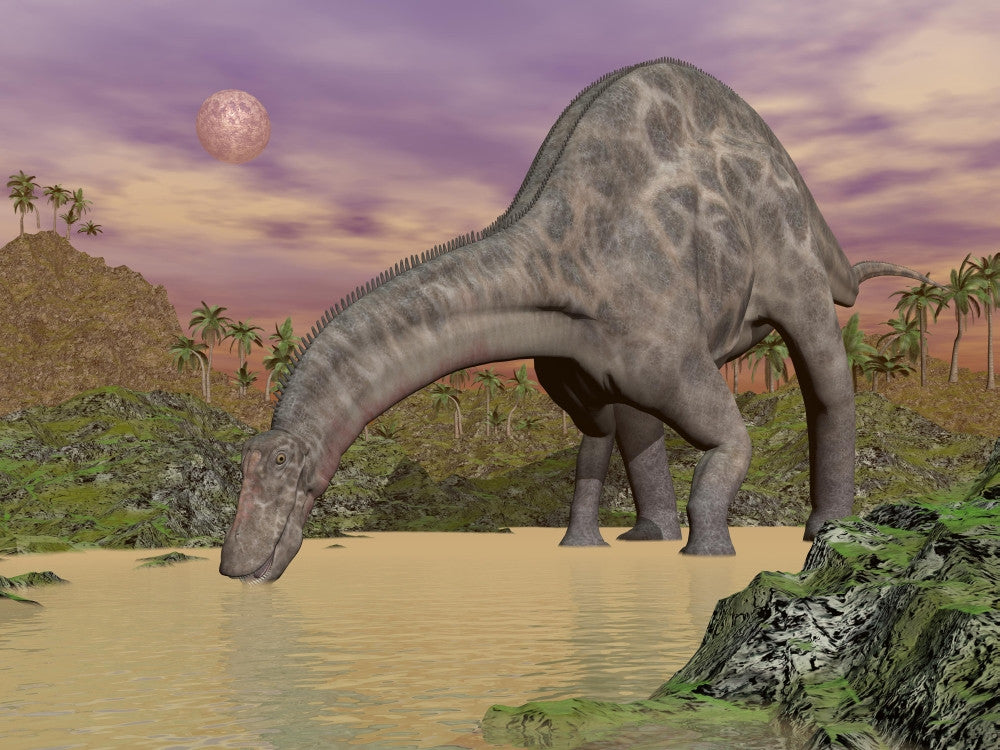 Large Dicraeosaurus Dinosaur Drinking Water Fine Art Print