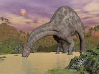 Large Dicraeosaurus Dinosaur Drinking Water Fine Art Print