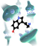 Serotonin Neurotransmitter Molecule Fine Art Print by Spencer Sutton