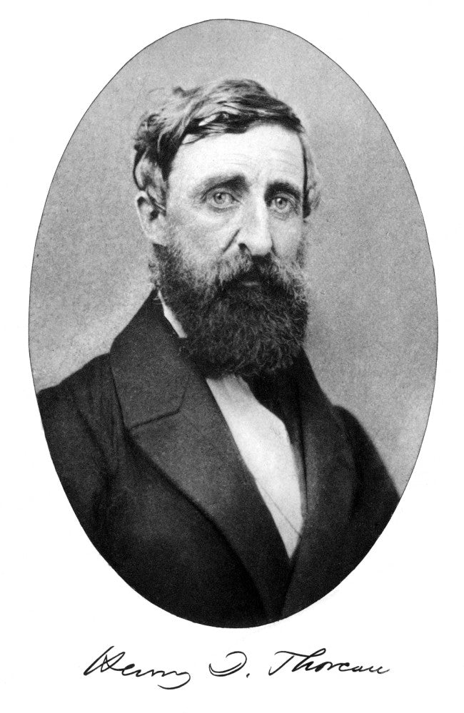 Henry David Thoreau Fine Art Poster Print - Granger Collection