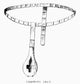 Medieval Chastity Belt 19th Century Wood Engraving Poster Print by Granger Collection
